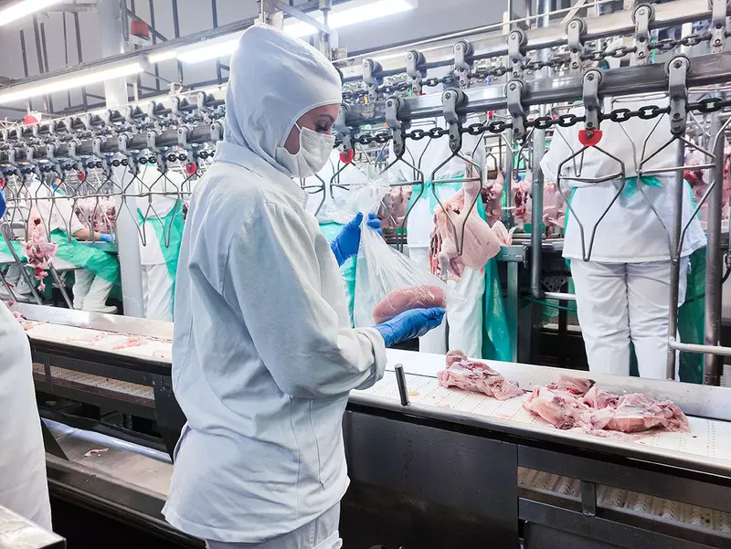 AMEAÇAS ][ Avicultura brasileira celebra dia em meio a desafios sanitários e risco de privatização